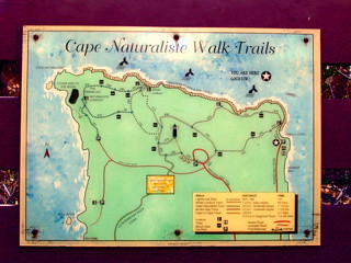 Cape Naturaliste Walk Trails, Busselton area