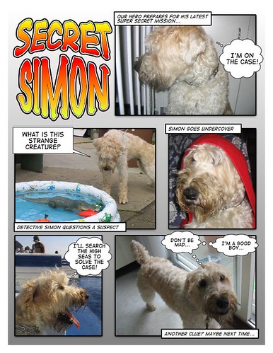 Secret Simon - Comic Life