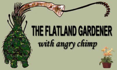 Flatland Gardener 1
