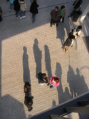 shadows in Insadong