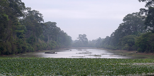 Cambodia Marsh