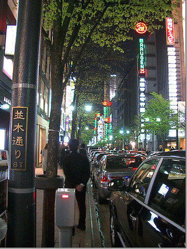 Tokyo Ginza Night Flower Viewing 02 photo by OptioS