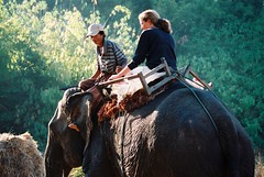 Jeannette riding on elephant